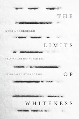 the limits of whiteness book cover
